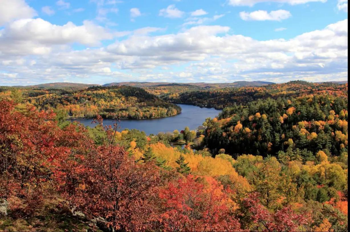 Nature Eco Suite In Wakefield Quebec エクステリア 写真